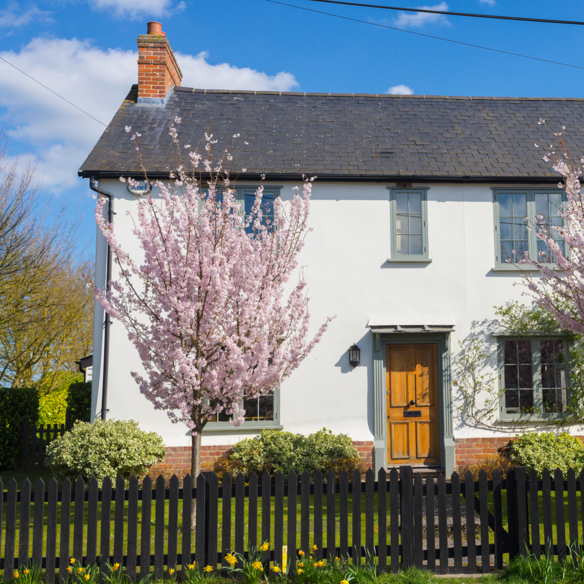 The best garden trees to add thousands to your property value